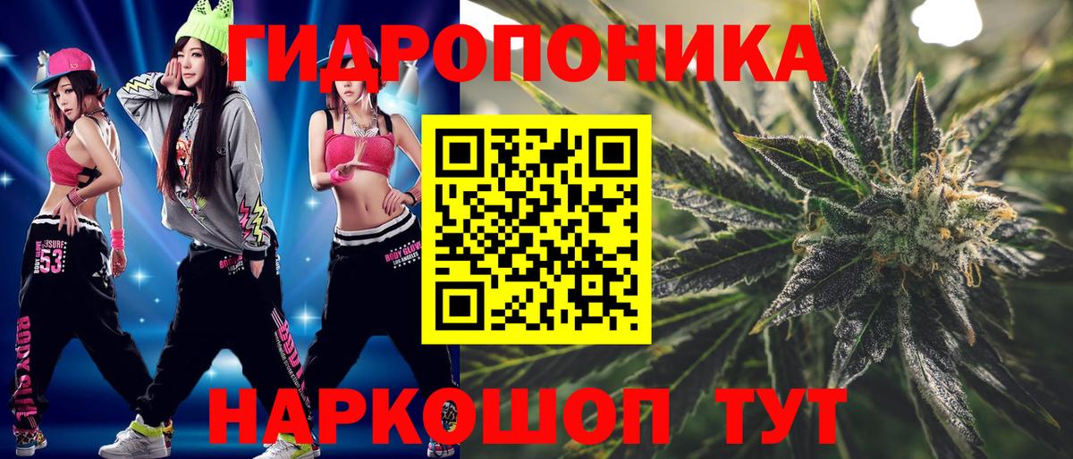 Бошки марихуана семена Малгобек